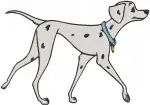Disney 101 Dalmatians Pongo Perdita Adult Dogs Elegant Poses Sitting Standing - Filled Embroidery Design - 42