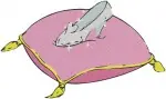 Cinderella Magical Items Pumpkin Carriage Glass Slipper On Pillow And Slipper - Filled Embroidery Design - 2045
