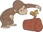 Curious George Monkey With Balloon Sombrero Birthday Cake Log Playful Primate - Filled Embroidery Design - 2126