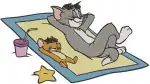 Tom And Jerry - Classic Cat And Mouse Duo - Beach Relaxation And Chasing Fun - Coon Legends - Filled Embroidery Design - 8572