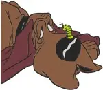 Disney Dogs - Pluto The Pup And Bruno From Cinderella - Loyal Canine Companions - Character Poses - Filled Embroidery Design - 3625